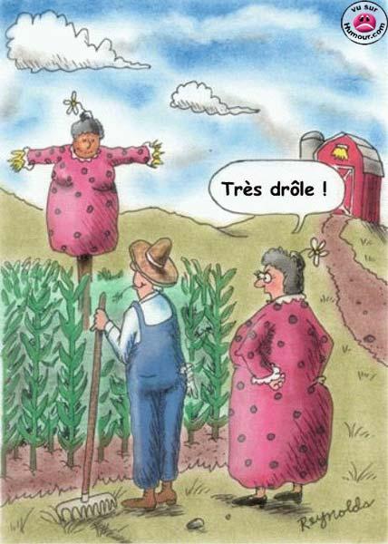 quel idée